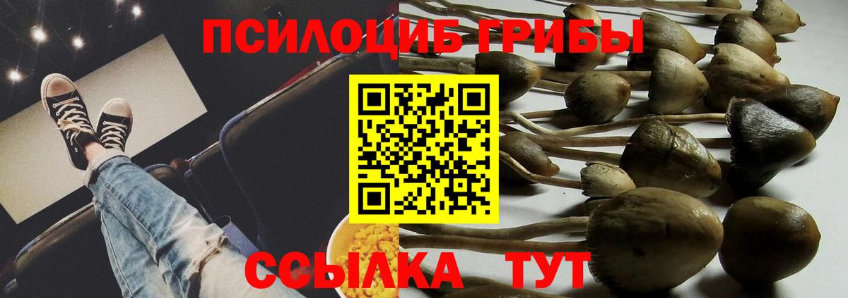 Псилоцибиновые грибы Psilocybe  Вход с VPN  Ухта 