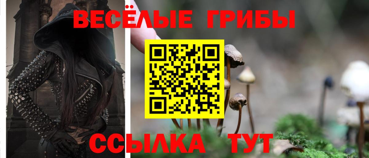 Галлюциногенные грибы Magic Shrooms Ухта